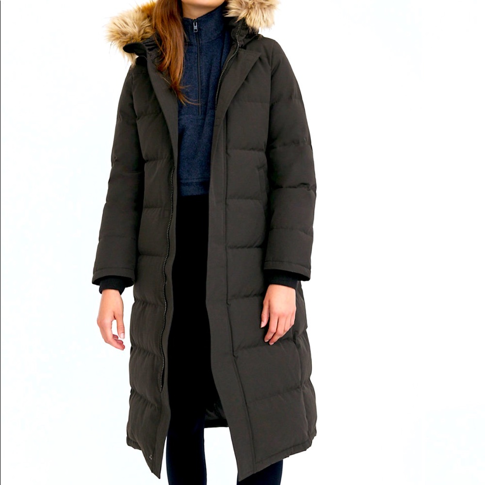 Aritzia Powder Parka